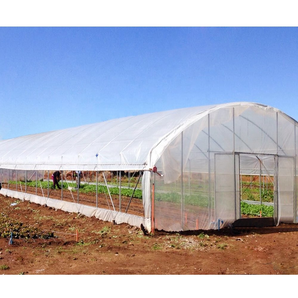 Hot agriculture productive greenhouse irrigation system greenhouse for vegetable