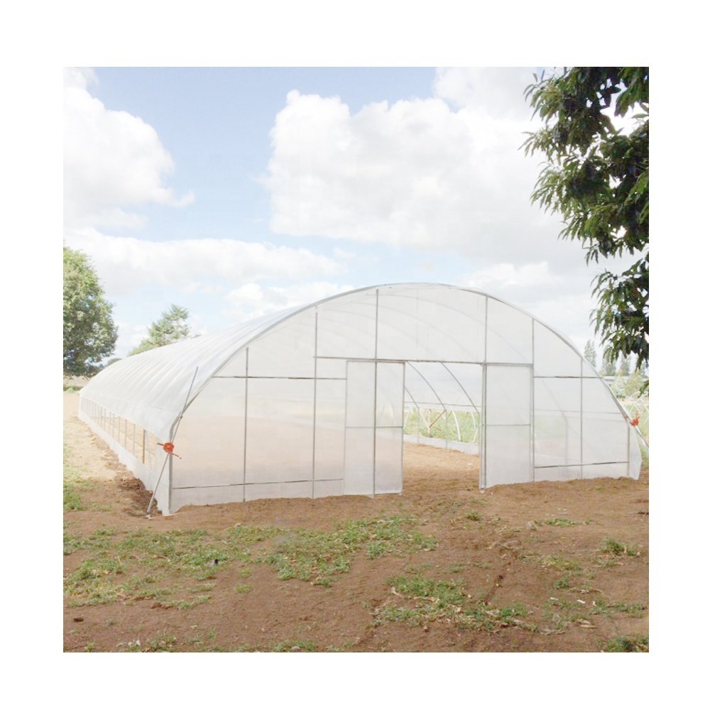 Hot agriculture productive greenhouse irrigation system greenhouse for vegetable
