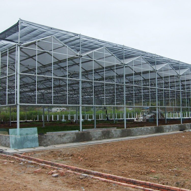 MYXL Fully Automatic Smart Greenhouse Commercial Agriculture Glass Greenhouse