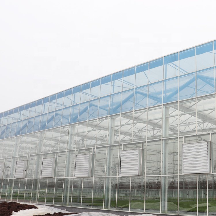MYXL Fully Automatic Smart Greenhouse Commercial Agriculture Glass Greenhouse