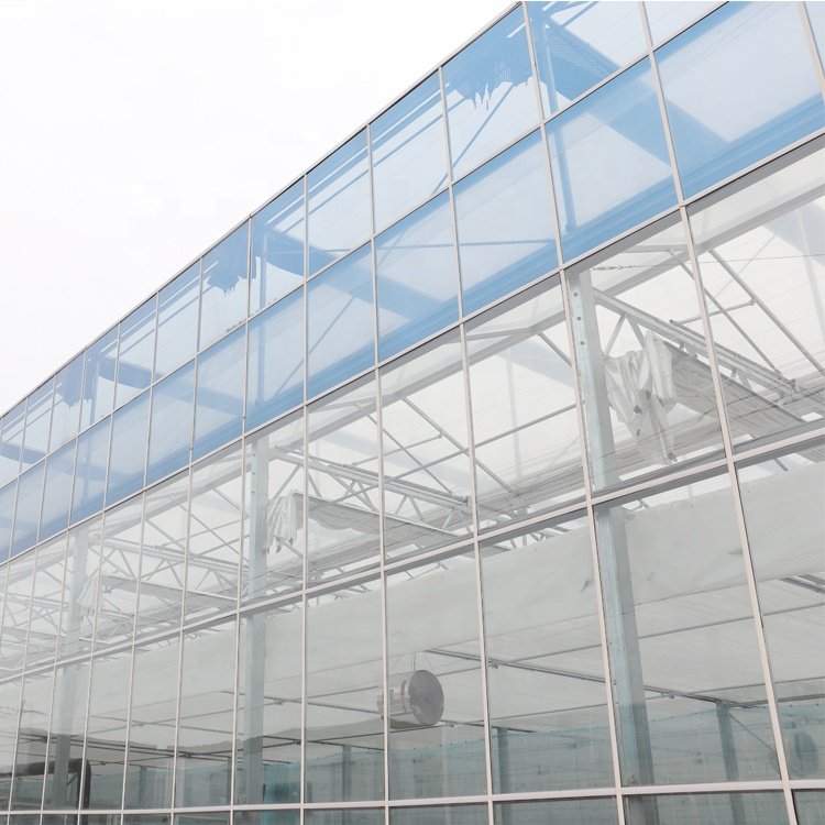 MYXL Fully Automatic Smart Greenhouse Commercial Agriculture Glass Greenhouse