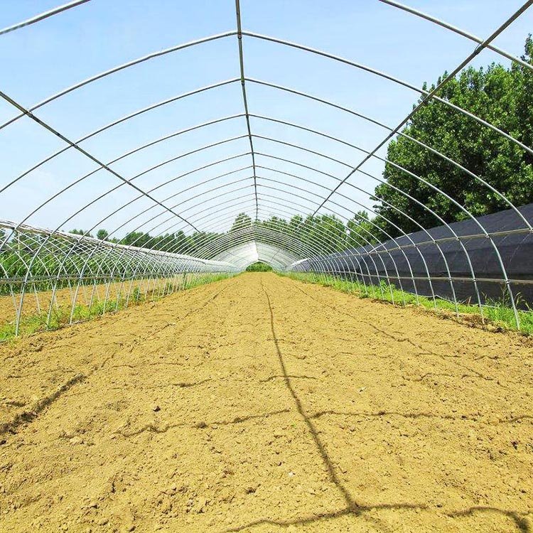 Commercial Greenhouse Film Green House Agriculture Greenhouse