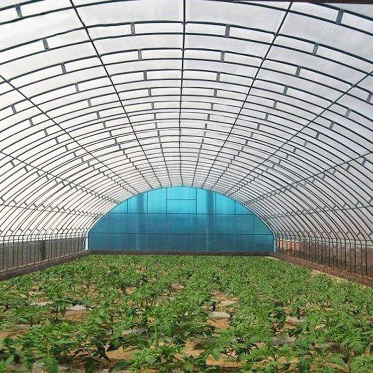 Commercial Greenhouse Film Green House Agriculture Greenhouse