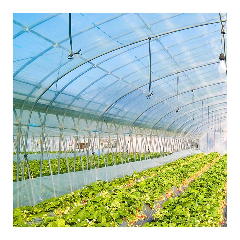 Flash Sale Pe Green house Film Agriculture Greenhouse Plastic Film