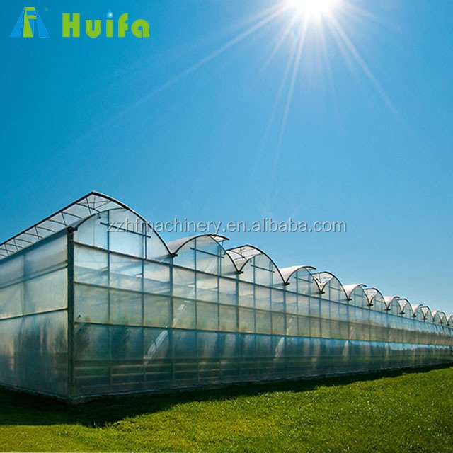 Film Tunnel House Agriculture Plastic Commercial Green Steel Large Commercial Glass Greenhouse Large Farm