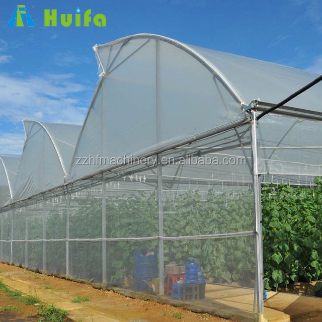 Film Tunnel House Agriculture Plastic Commercial Green Steel Large Commercial Glass Greenhouse Large Farm