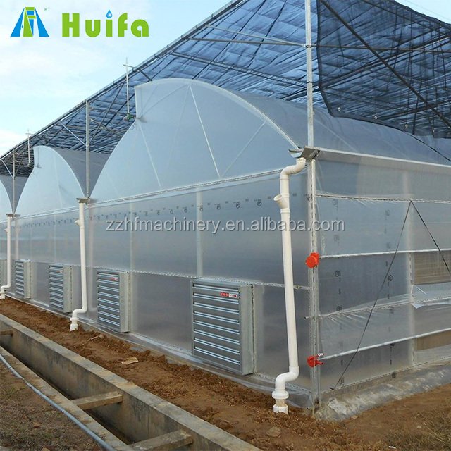 Film Tunnel House Agriculture Plastic Commercial Green Steel Large Commercial Glass Greenhouse Large Farm