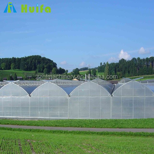 Film Tunnel House Agriculture Plastic Commercial Green Steel Large Commercial Glass Greenhouse Large Farm