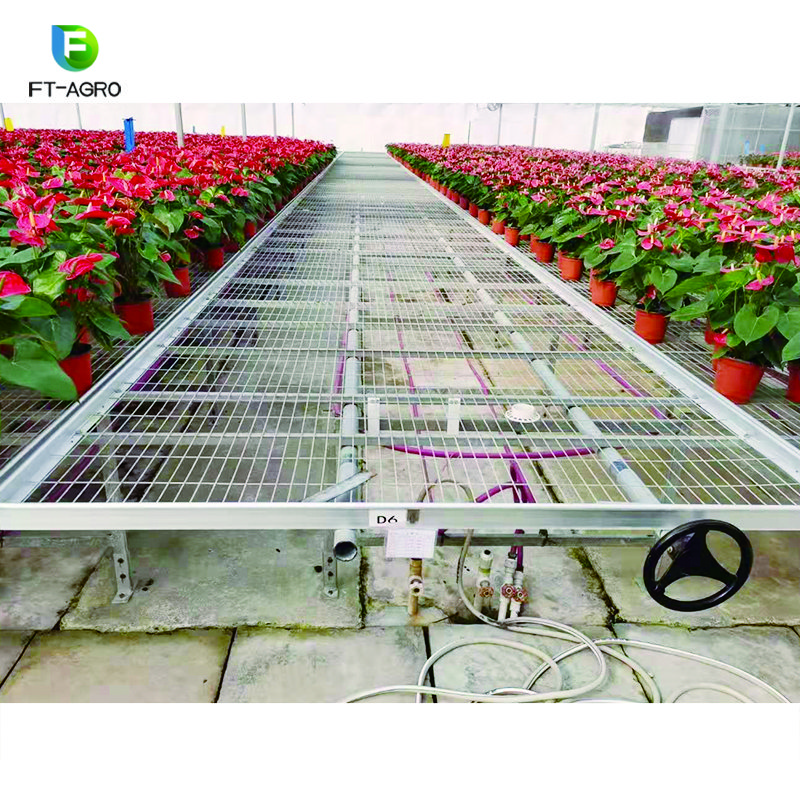 FT Agriculture Movable Flood and Drain table Greenhouse Seeding Bed