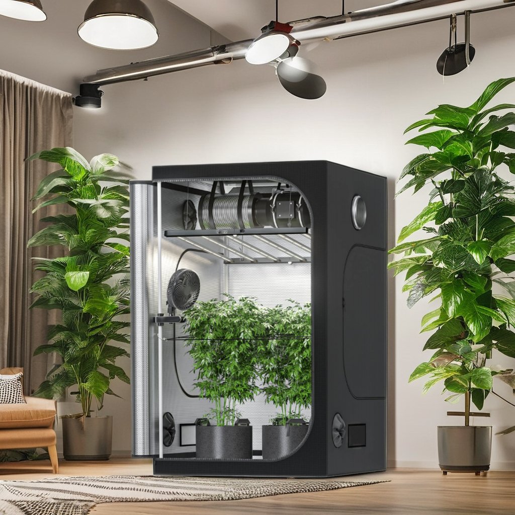 Indoor Grow Box 200W Grow Light+80x80x160cm Kits Grow Tent 4" Filter Inline Fan Complete Kits for Hydroponic
