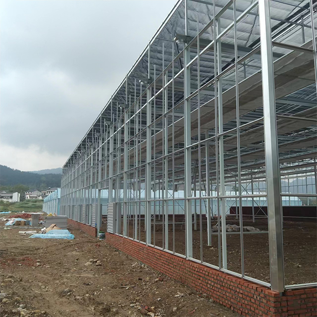 Large Multi-Span Greenhouse with outside Sunshade System for Agriculture & Greenhouse Use