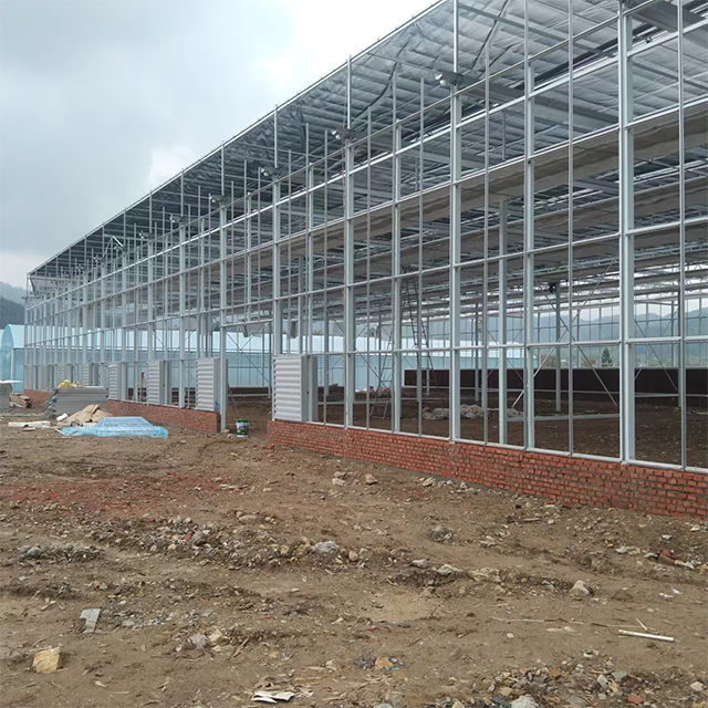 Large Multi-Span Greenhouse with outside Sunshade System for Agriculture & Greenhouse Use