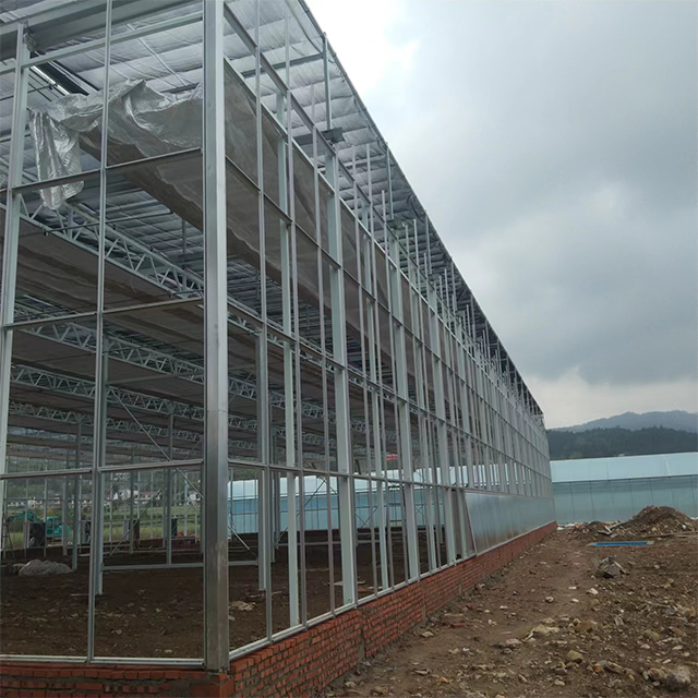 Large Multi-Span Greenhouse with outside Sunshade System for Agriculture & Greenhouse Use