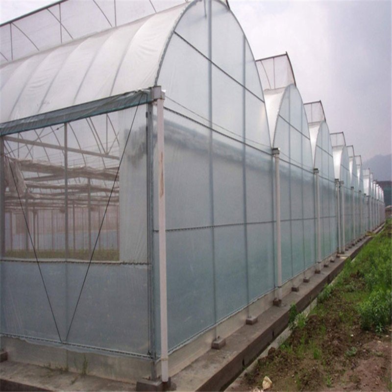 indoor agricultural greenhouse plastic sheet film tunnel greenhouse
