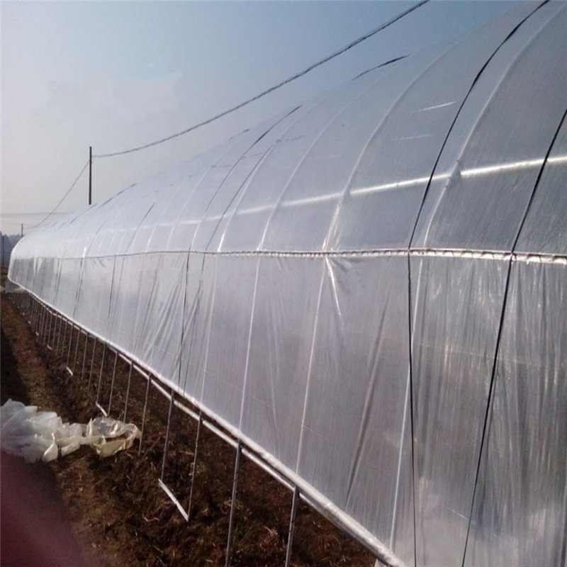 indoor agricultural greenhouse plastic sheet film tunnel greenhouse