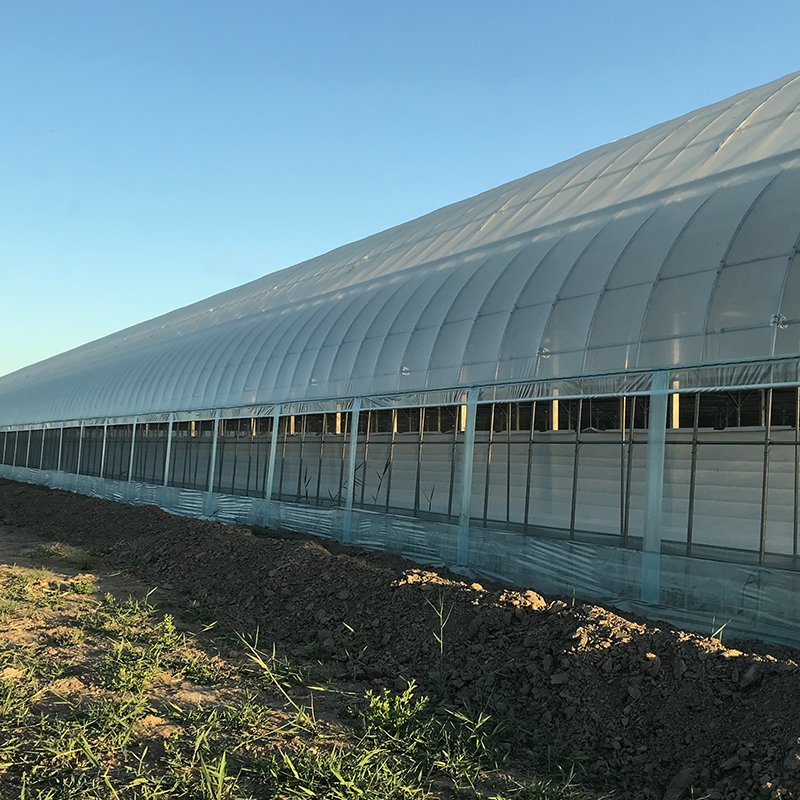 High efficient agricultural commercial grass greenhouse for sale