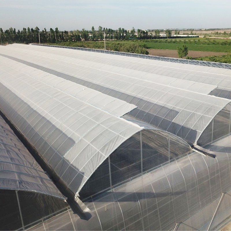 High efficient agricultural commercial grass greenhouse for sale