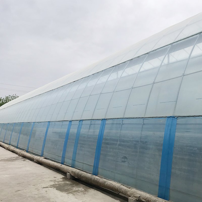 High efficient agricultural commercial grass greenhouse for sale