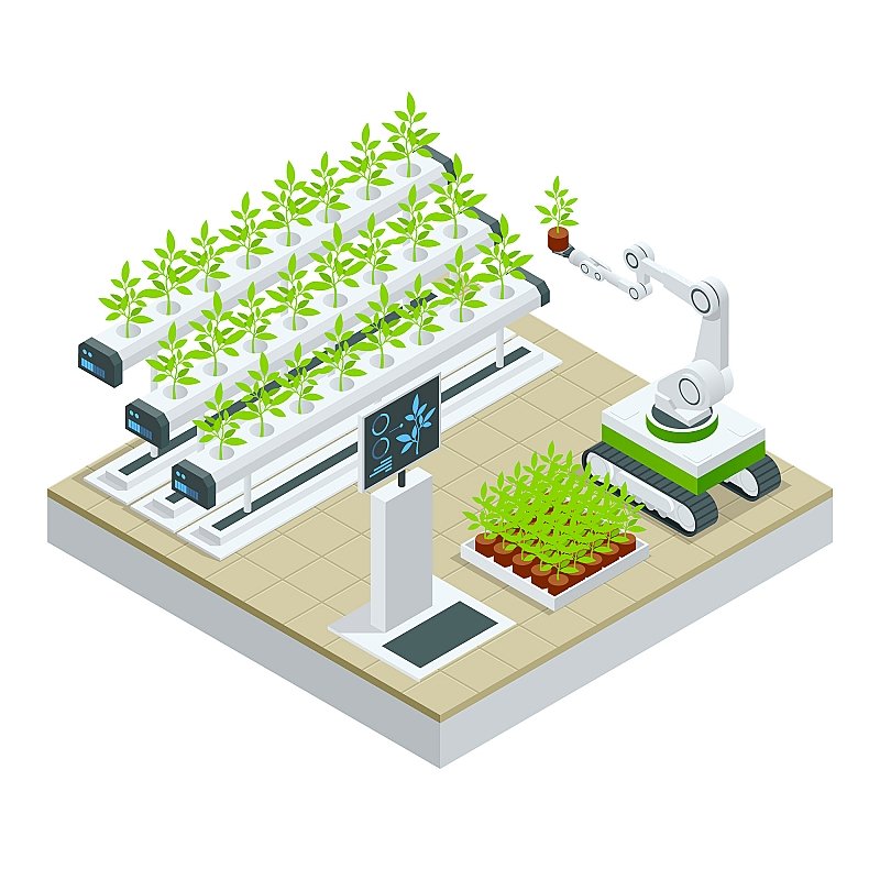 Large Agricultural Greenhouse Hydroponic Garden Flat System with Motor Ventilation Pipeline