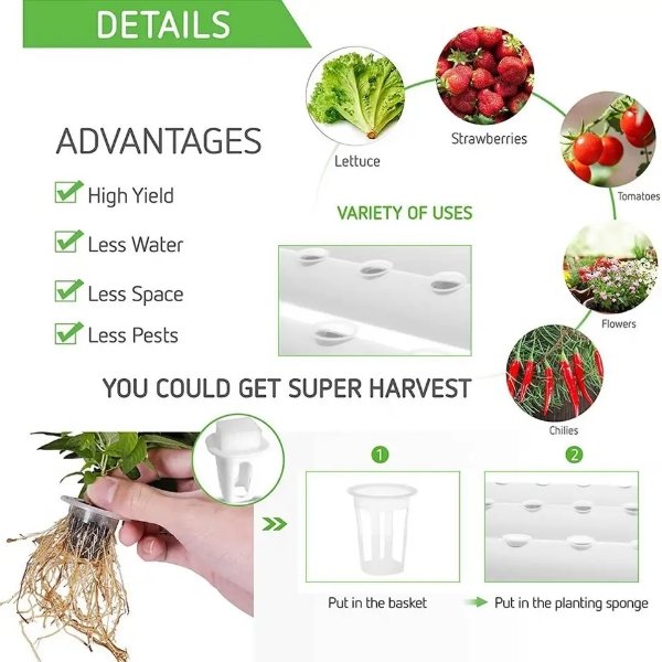 Large Agricultural Greenhouse Hydroponic Garden Flat System with Motor Ventilation Pipeline