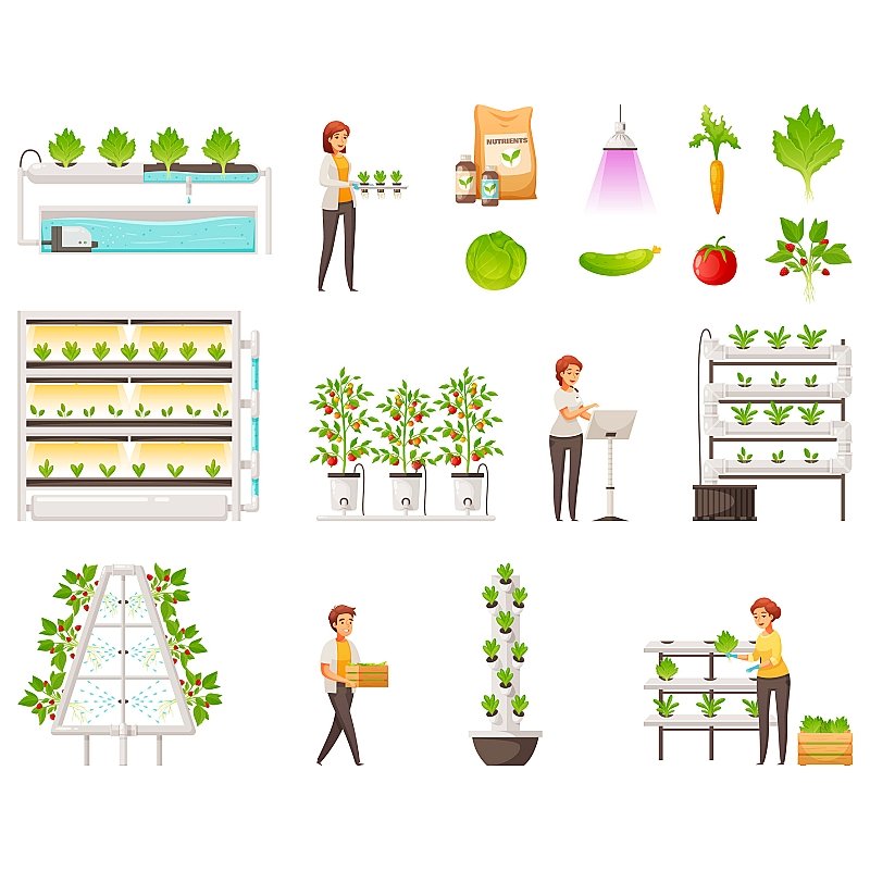 Large Agricultural Greenhouse Hydroponic Garden Flat System with Motor Ventilation Pipeline