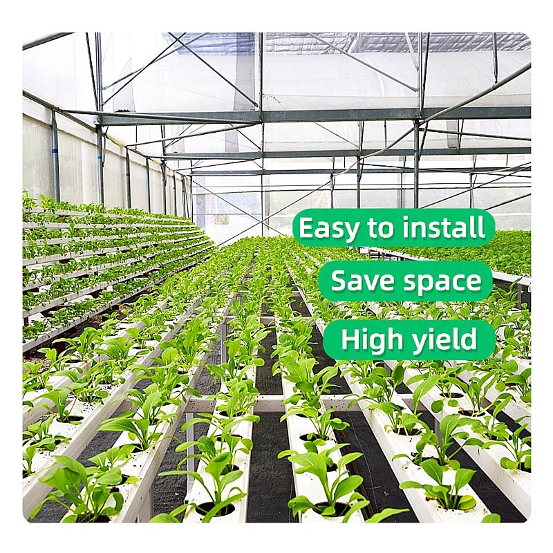Large Agricultural Greenhouse Hydroponic Garden Flat System with Motor Ventilation Pipeline