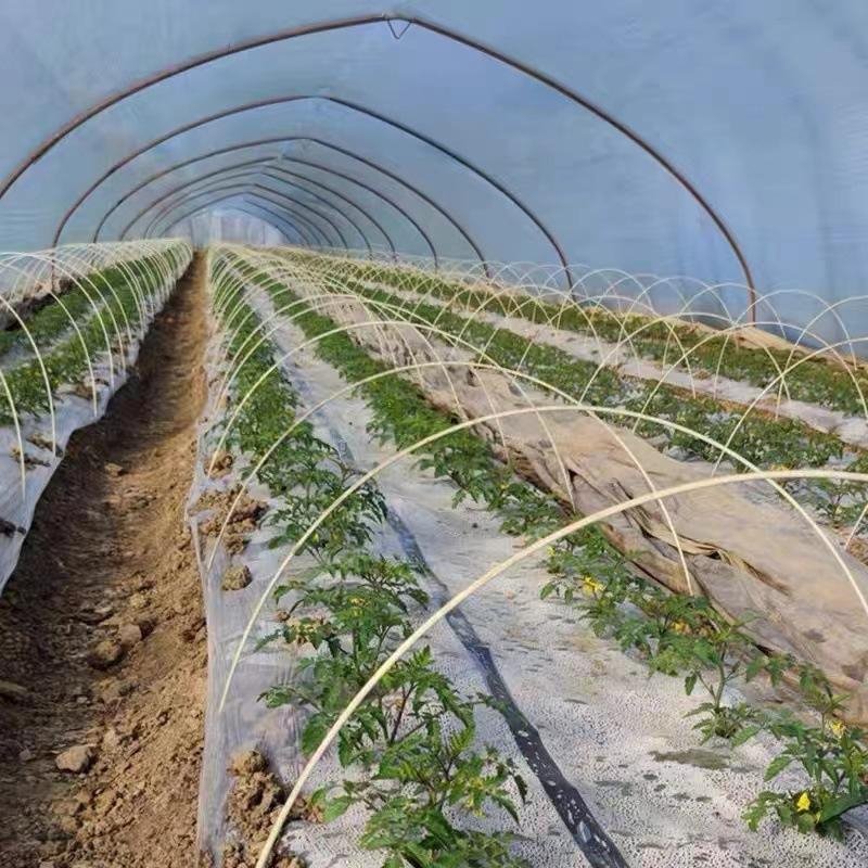 Greenhouse Garden Hoop Growth Tunnel Plastic Coating Anti Rust Glass Fiber With Connectors Clamping Plant Covers