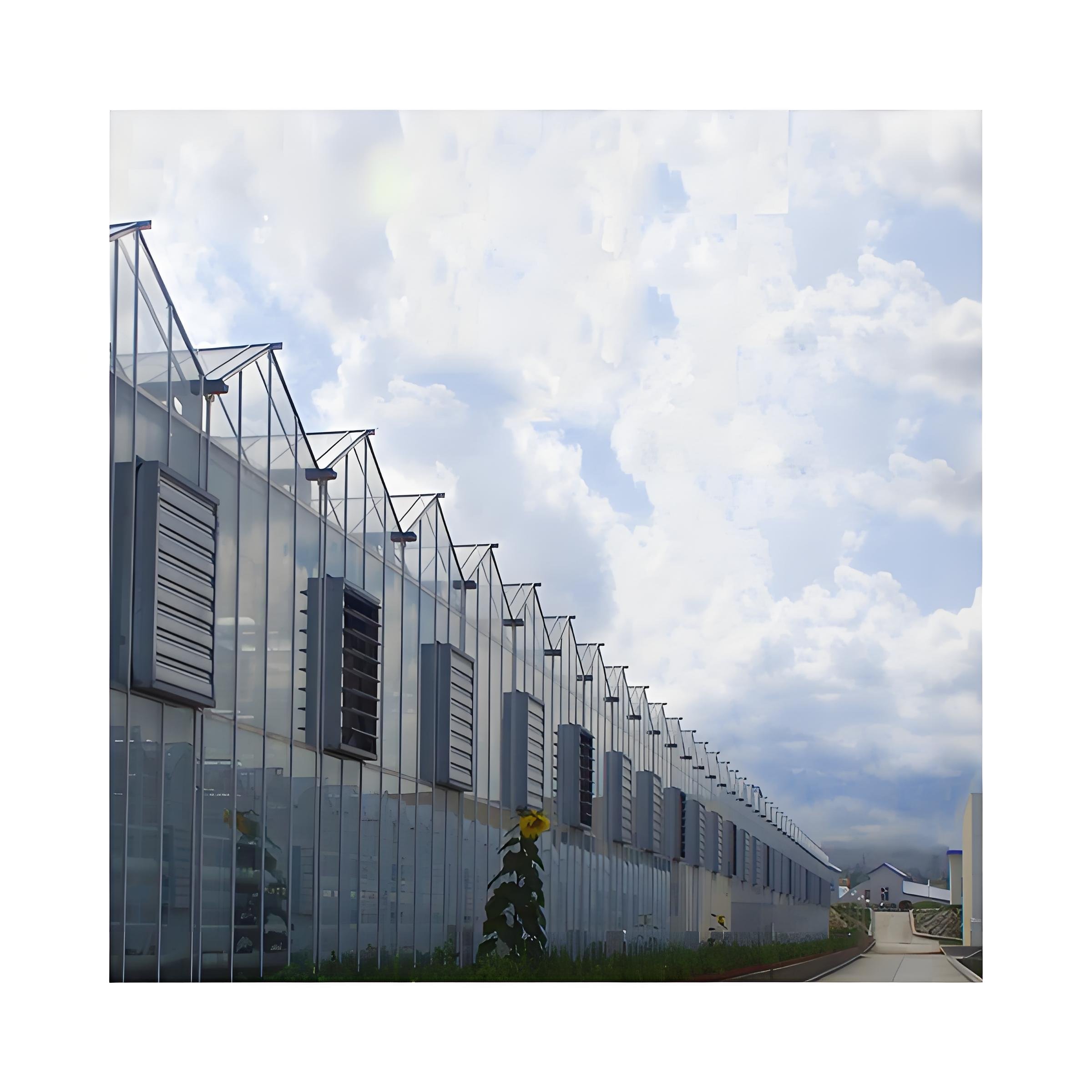 Large Airflow Wall Mounted Industrial Ventilation Fan for Agriculture Greenhouse Farm Cooling