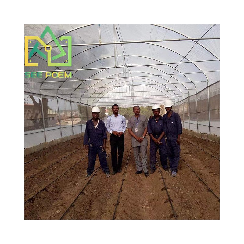 See Poem Cheap High Tunnel Tomato Greenhouse