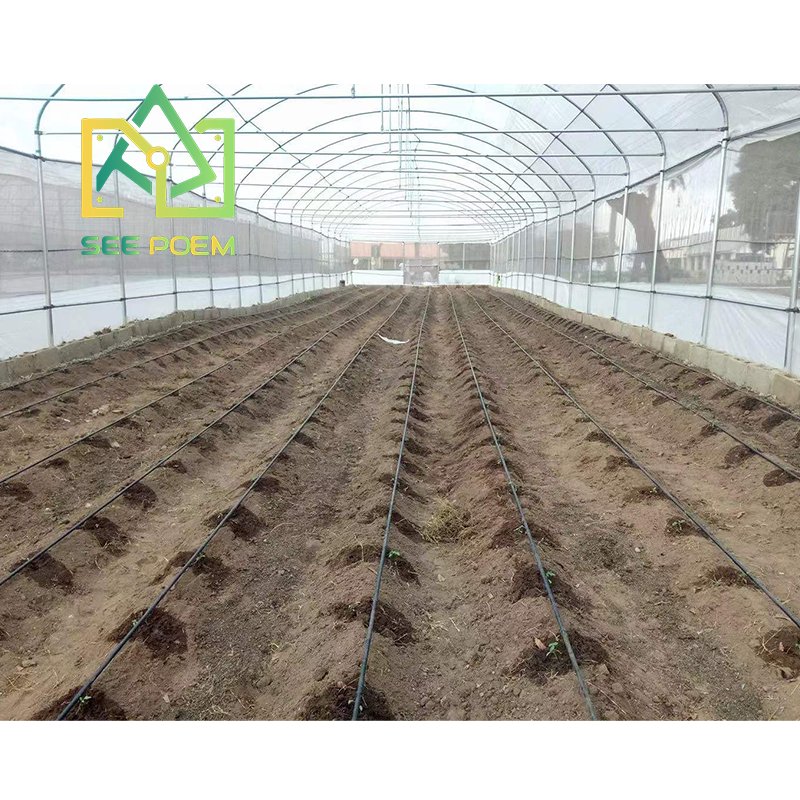 See Poem Cheap High Tunnel Tomato Greenhouse