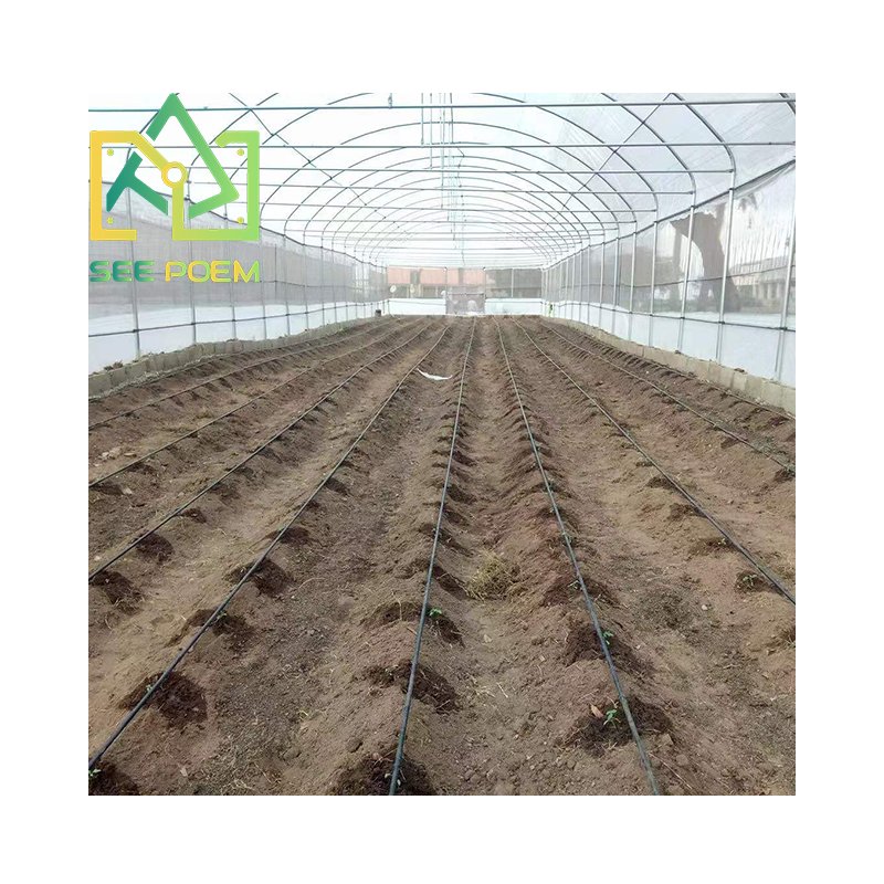See Poem Cheap High Tunnel Tomato Greenhouse