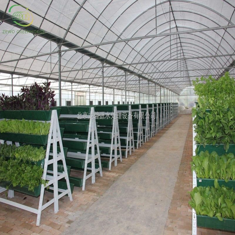 Hot Sale Single-span Film Plastic Tunnel Agricultural Greenhouses Customize Transparent Large Vegetable Fruits Flowers Zewo