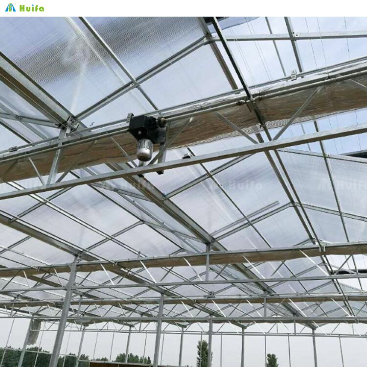 Agricultural Greenhouses Farm Tunnel Film Greenhouse Covering Plastic Film Cultivation Shed Skeleton Tomato Greenhouse For Sale
