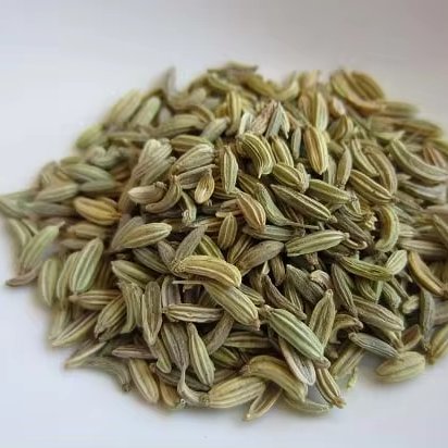Foeniculum Vulgare Agricultural Greenhouses' Essential Herb for Soil Health and Plant Growth