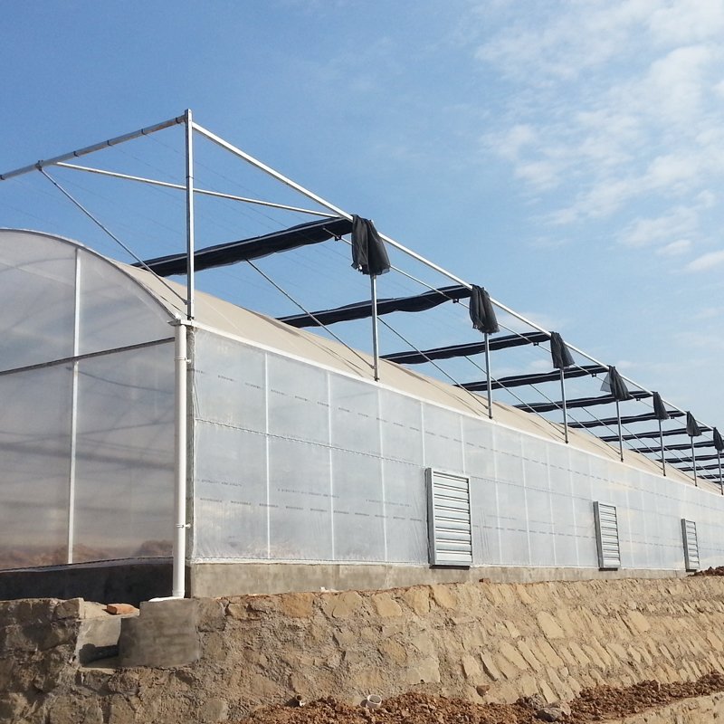 Serre Agricole Plastic Film greenhouse System Multi-span agricultural greenhouses For Sale