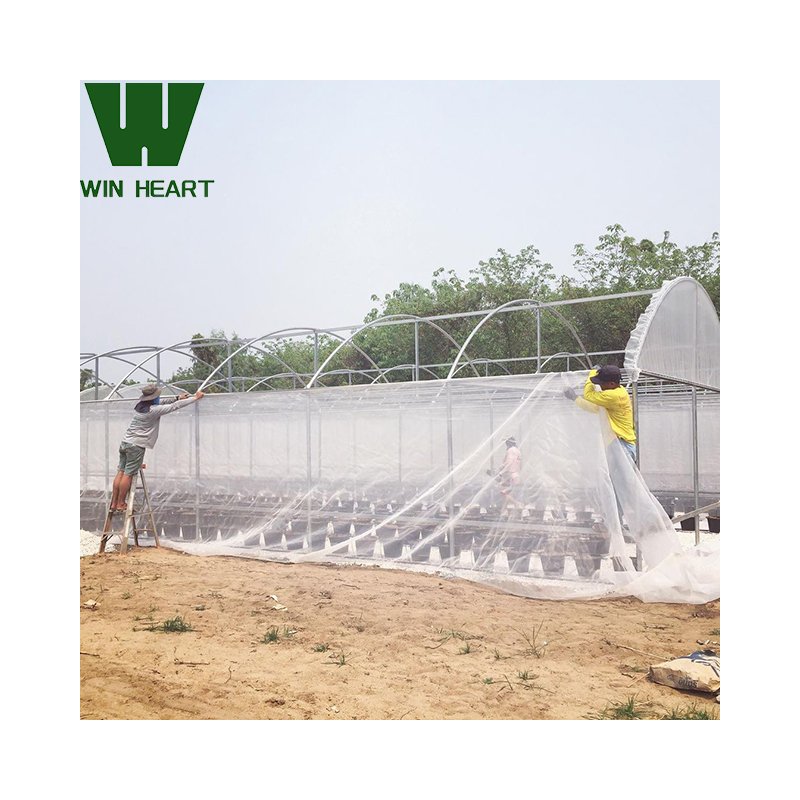 Large Commercial Hydroponics Farming Greenhouse Frame Structure Film Greenhouse 6m x 20m