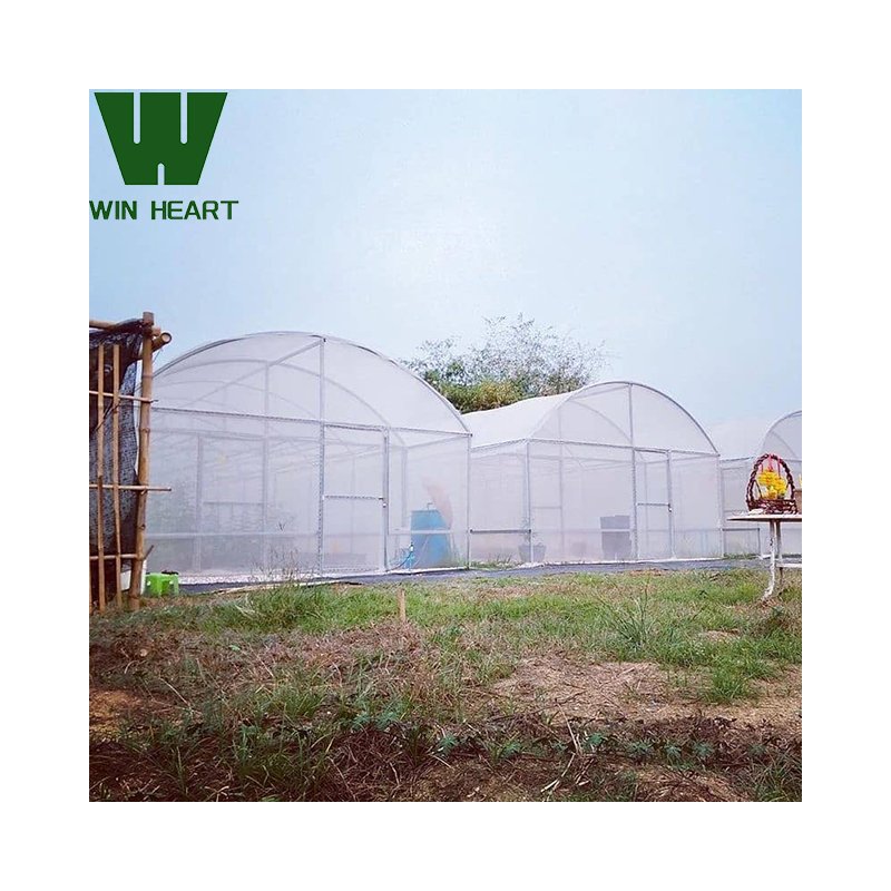 Large Commercial Hydroponics Farming Greenhouse Frame Structure Film Greenhouse 6m x 20m