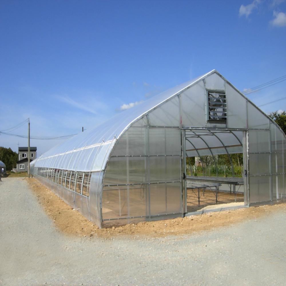 Cheap Vegetables Farming Polytunnel Agricultural Greenhouses Plastic Film Green House With Hydroponic System