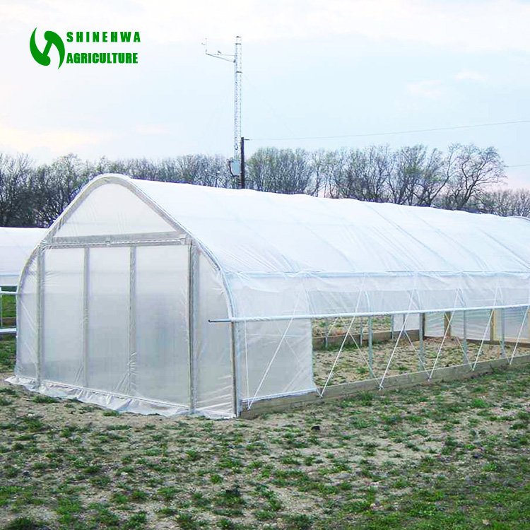 Cheap Vegetables Farming Polytunnel Agricultural Greenhouses Plastic Film Green House With Hydroponic System