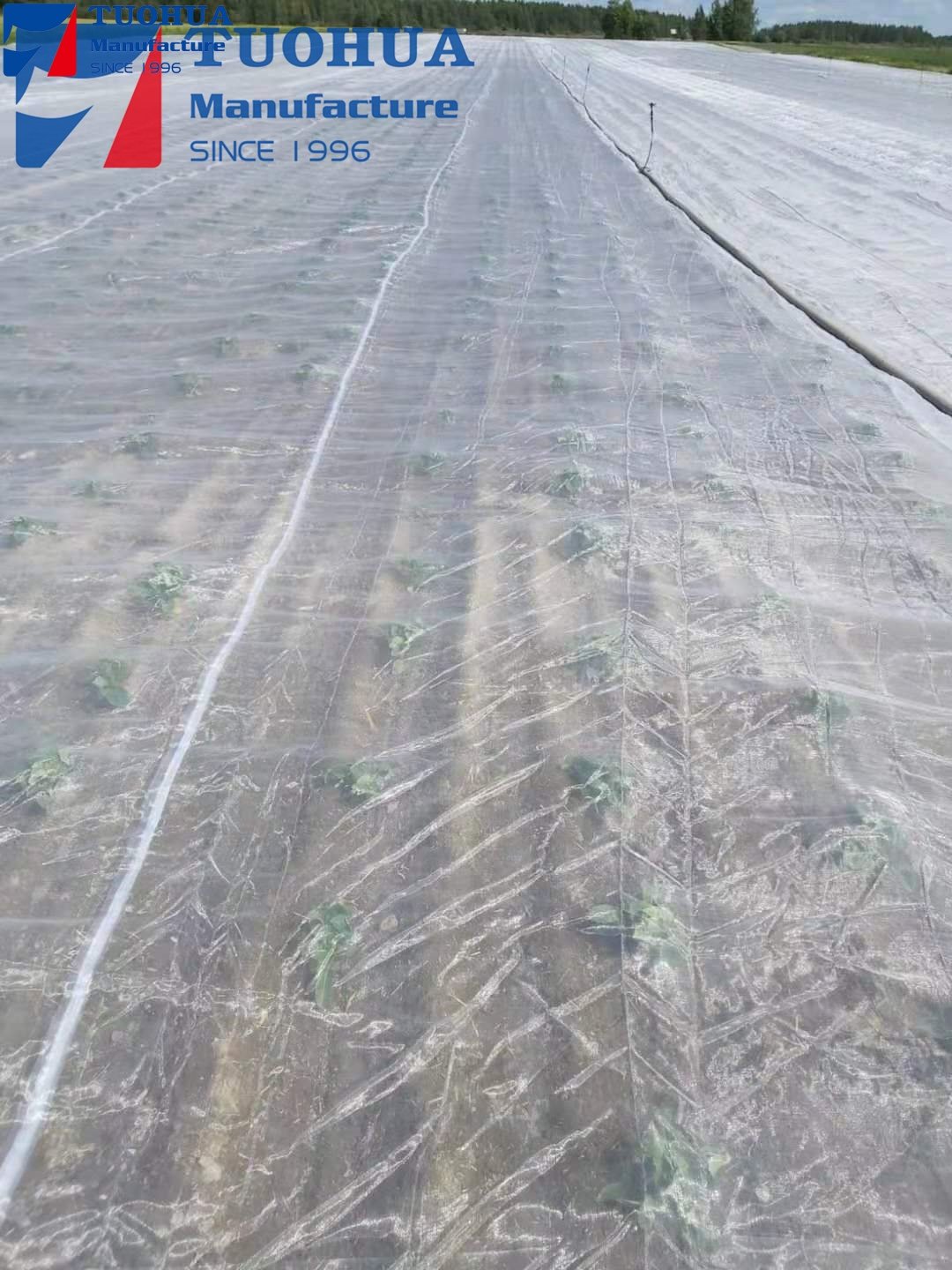 Factory Wholesale Agricultural Insect Control Net Garden Greenhouse Effective Anti Insect Net