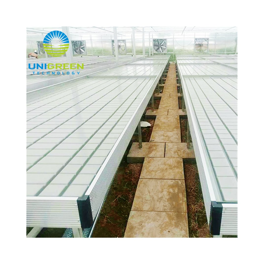 Hydroponic Ebb And Flow Drain Plants Rolling Bench Table Custom Size Planting Flood Bench For Agricultural Drip Irrigation Used