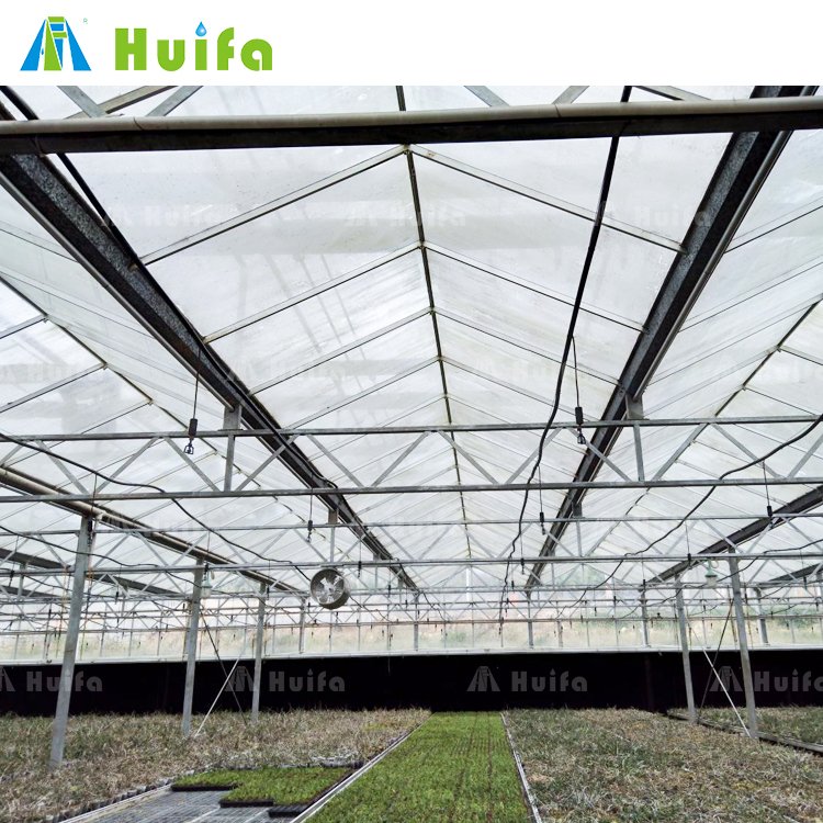 Large Tunnel Size Film Glass Cover Agriculture Greenhouse Manufacturer Uv Treated Plastic Roof Window Fan Large House for Sale