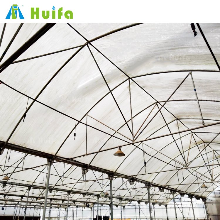 Large Tunnel Size Film Glass Cover Agriculture Greenhouse Manufacturer Uv Treated Plastic Roof Window Fan Large House for Sale