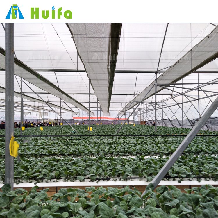 Large Tunnel Size Film Glass Cover Agriculture Greenhouse Manufacturer Uv Treated Plastic Roof Window Fan Large House for Sale