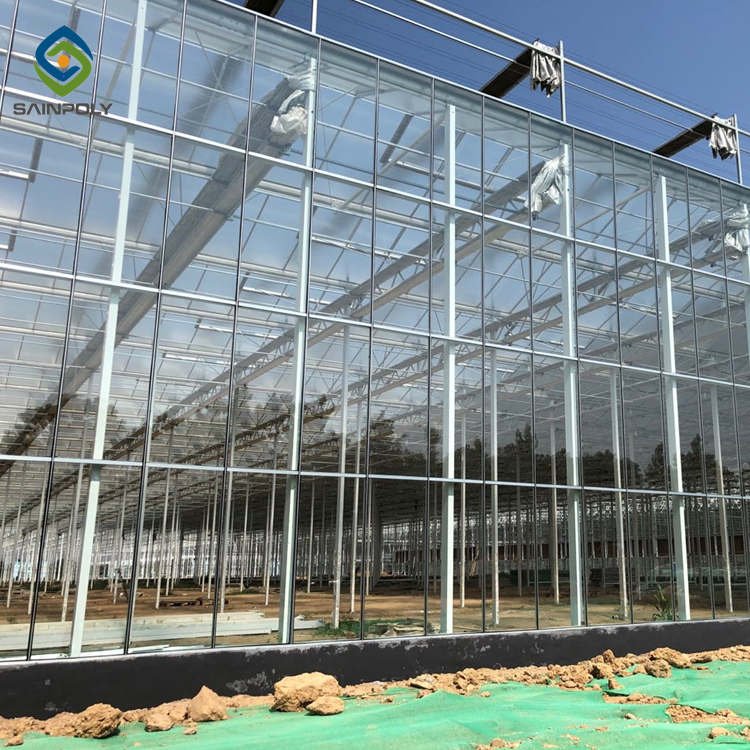 Hot Sale Sainpoly Glass Greenhouse For Agriculture From China