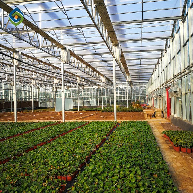 Hot Sale Sainpoly Glass Greenhouse For Agriculture From China