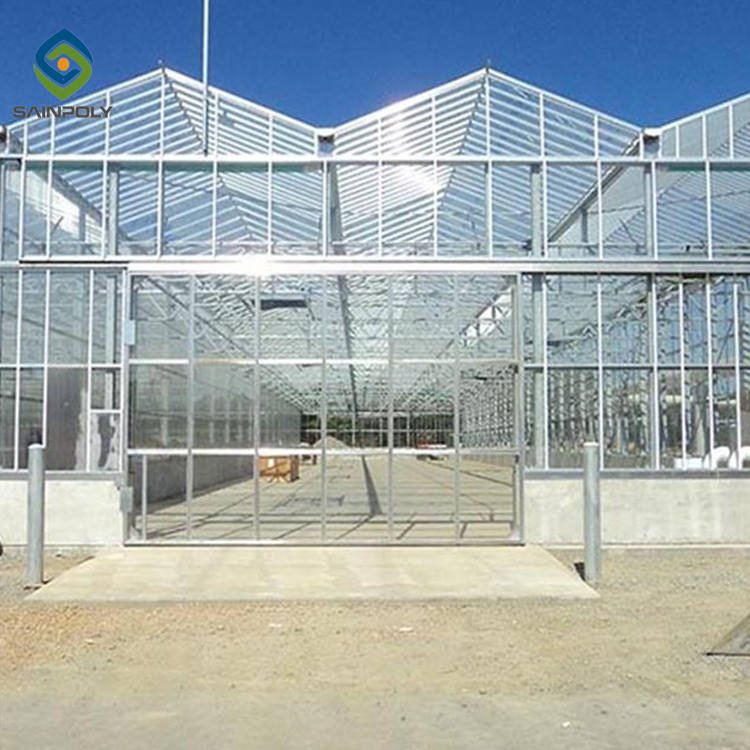 Hot Sale Sainpoly Glass Greenhouse For Agriculture From China