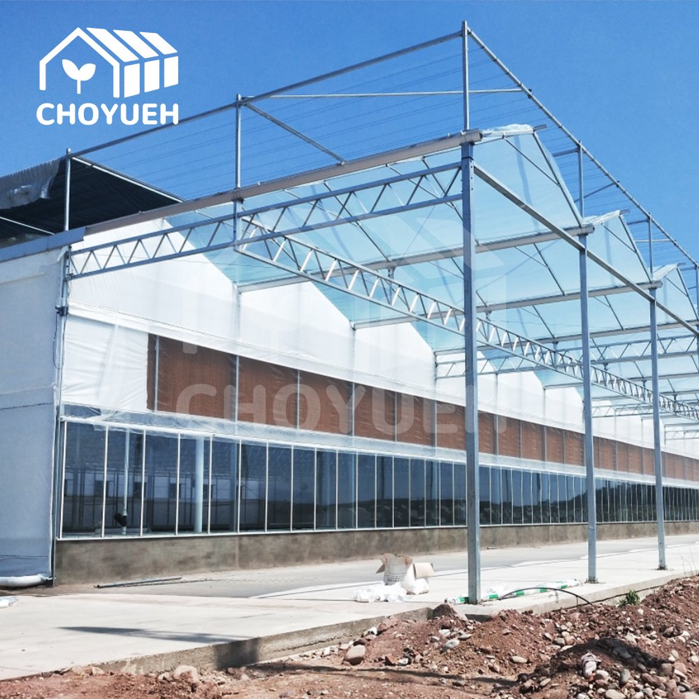 Multi Span Glass Greenhouse with External Shading System Air Circulation cheap industrial Large Plants Growing