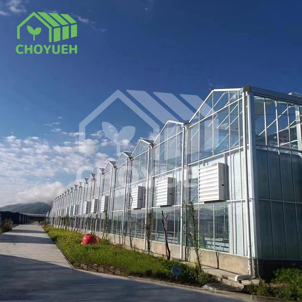 Multi Span Glass Greenhouse with External Shading System Air Circulation cheap industrial Large Plants Growing