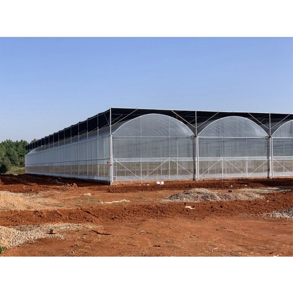Multi-Span Industrial Agricultural Greenhouses Type And Plastic Coated Cover Material Farming Growing Greenhouse